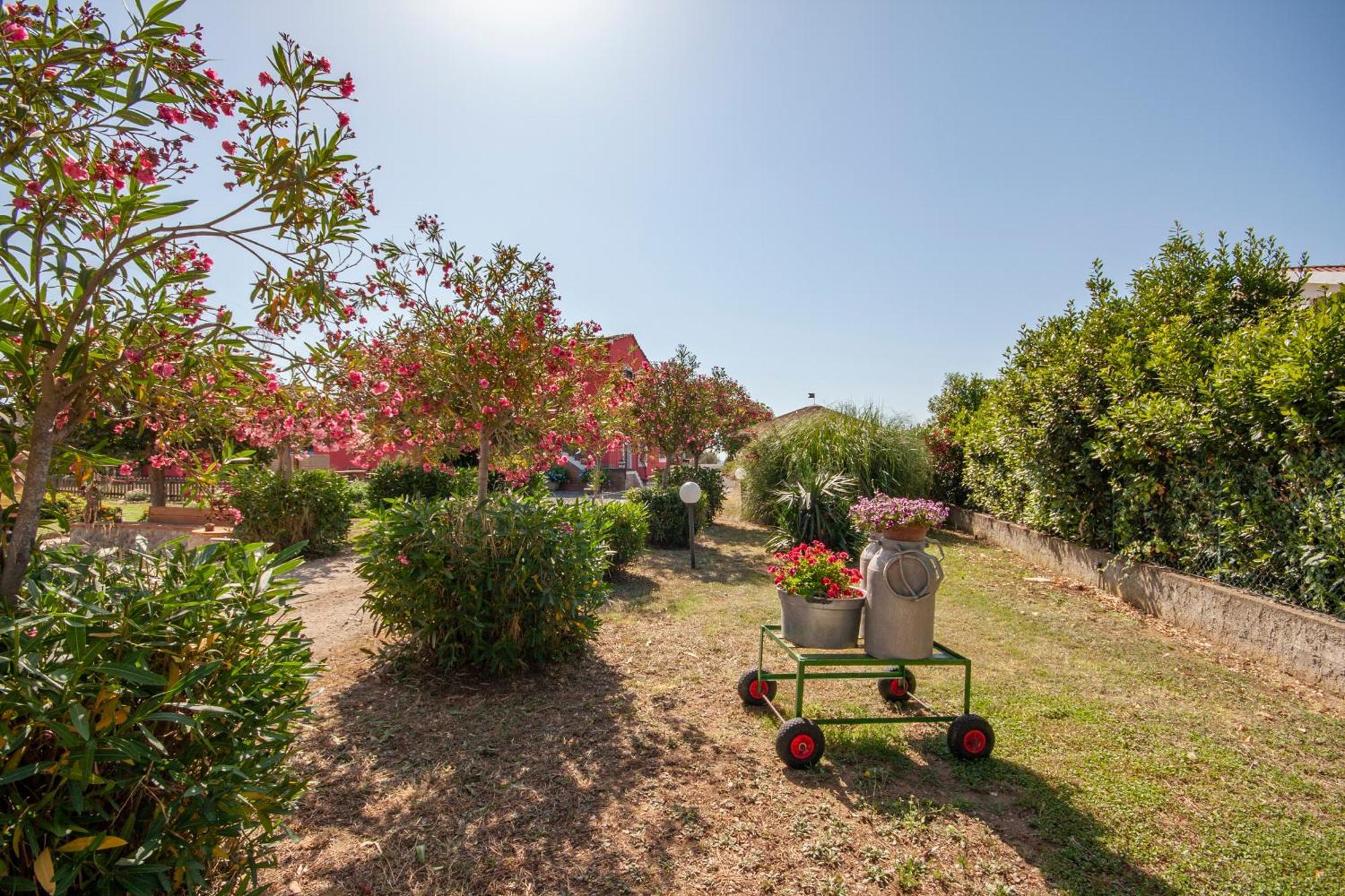 Agriturismo L'Istrice Di Gio Montalto di Castro Kültér fotó